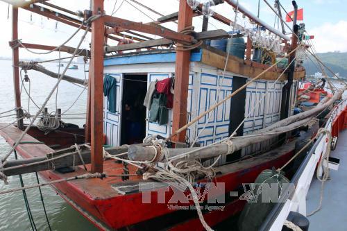 Giải cứu 8 ngư dân tàu cá bị tàu Hàn Quốc đâm chìm